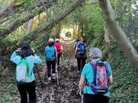 49-IMG_20210531_111616