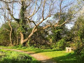 24-IMG_20210403_104308_1