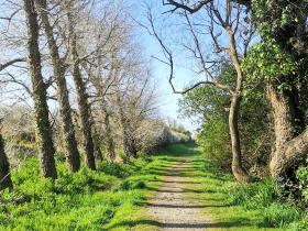 25-IMG_20210403_104315