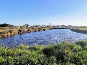 05-IMG_20210403_094438