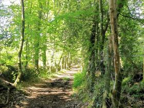 15-IMG_20210531_103326