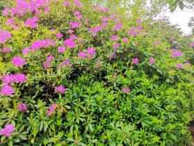 15-IMG_20210522_104832