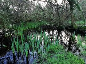 32-IMG_20200208_102730
