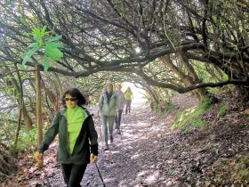 18-IMG_20210522_104859_1