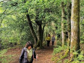 33-IMG_20210522_110345