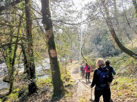 72-IMG_20210307_110036