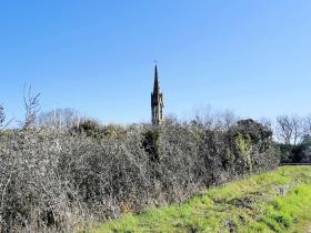 20-IMG_20210403_103140