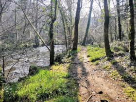 77-IMG_20210307_110347