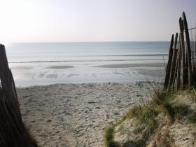 08-IMG_20210309_101324