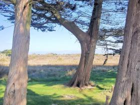 42-IMG_20210403_111306