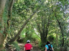 43-IMG_20210531_111138