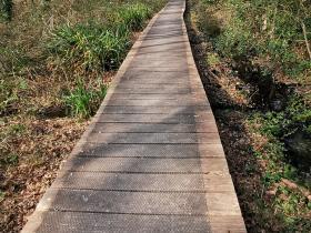 38-IMG_20210309_111256