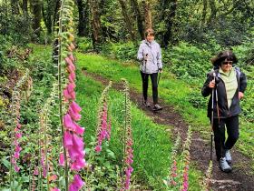 45-IMG_20210522_112243