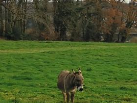 26-IMG_20191202_100846