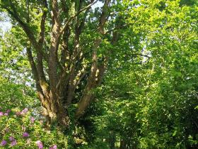 37-IMG_20210531_105340