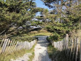 26-IMG_20210309_105201