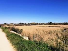 18-IMG_20210403_102844