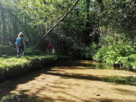 13-IMG_20210531_102306_1