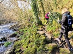 63-IMG_20210307_104630