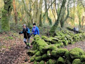 20-IMG_20210307_100949_1