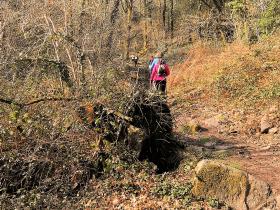 87-IMG_20210307_111856