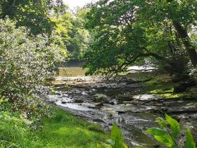 06-IMG_20210522_104403