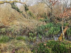 36-IMG_20210309_111132