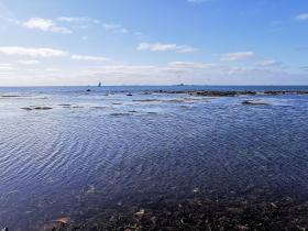 63-IMG_20210403_112818