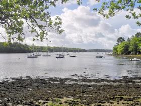 12-IMG_20210522_104730_1