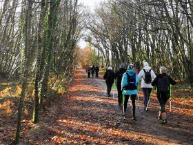 13-IMG_20201229_110639_1