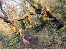 46-IMG_20210307_103754